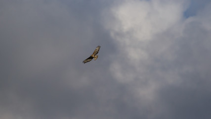 parco nazionale d'abruzzo