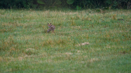 parco nazionale d'abruzzo