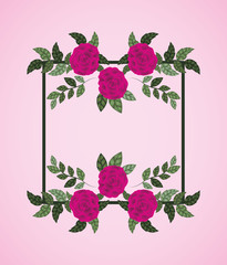 flowers roses decoration square frame