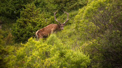 parco nazionale d'abruzzo