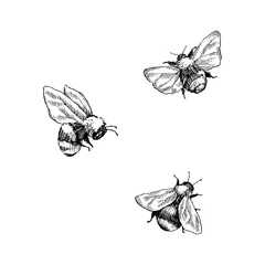 Bumblebee set. Hand drawn vector illustration. Vector drawing of tree honeybee. Hand drawn insect sketch isolated on white. Engraving style bumble bee illustrations. © valeriyabtsk