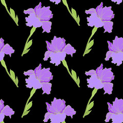 Vector Purple and yellow iris floral botanical flower. Engraved ink art. Seamless background pattern.