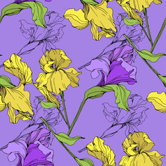 Vector Purple and yellow iris floral botanical flower. Engraved ink art. Seamless background pattern.