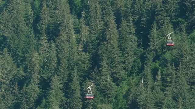 Red mountainside lifts crossing in front of the forest near Juneau Alaska.