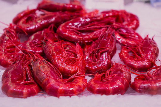 Gambones rojos gigantes sobre hielo en el mercado