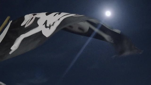 A pirate flag blowing in the wind against a full moon in the night sky