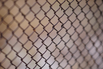 Fototapeta premium Old rusty mesh fence. Selective focus. Macro shot.