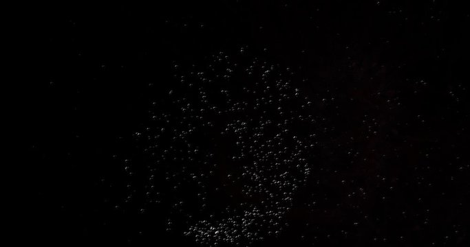 particle system of powders moving in the black space, lights and granular elements collected in a cloud with fast movements