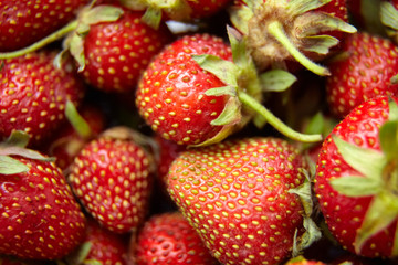strawberry background, harvest of red ripe summer berries, top view