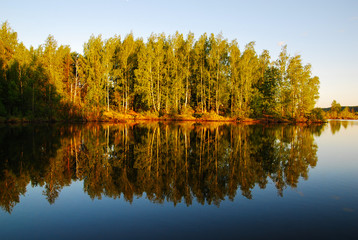Golden evening forest reflected in the water