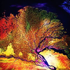The Lena River, one of the largest rivers in the world. Satellite view colorful ultrared collage....