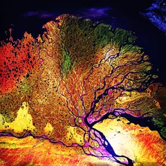 Fototapeten Der Fluss Lena, einer der größten Flüsse der Welt. Satellitenansicht bunte ultrarote Collage. Die Elemente dieses von der NASA bereitgestellten Bildes. © elen31