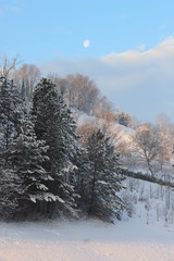 neve