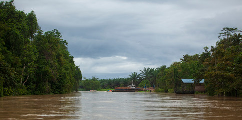 View of a river, Borneo