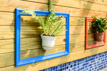 Green plant hanging in the middle of colorful painted photo frame on pallet wall