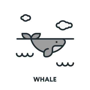 Whale Under Water. Vector Flat Line Stroke Icon.