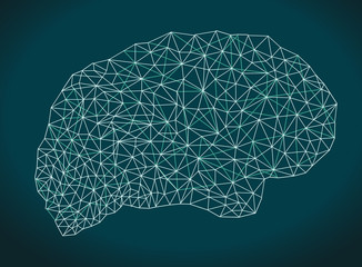 Brain shape business network, polygons mesh graphic, futuristic background. Vector