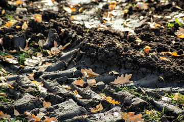 Traces from the transport in the mud