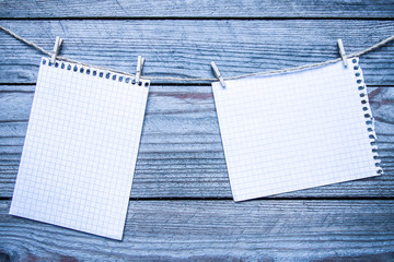 clothes pegs and day in love