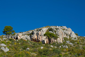 Montes de Málaga. Pinar de San Antón. Málaga