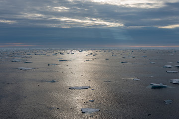 Arctic landscape - sea surface with ice floe