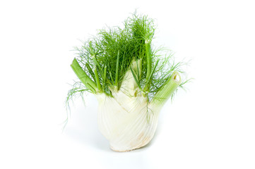 Fennel isolated on white background