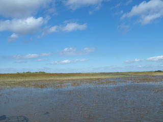 Landschaft Tiere © Timo