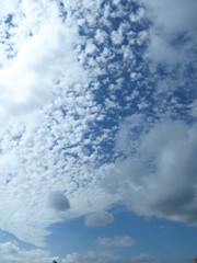 Landschaft Tiere © Timo