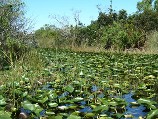 Landschaft Tiere © Timo