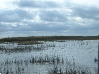 Landschaft Tiere © Timo
