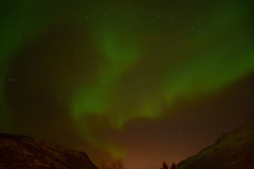 Northern Lights