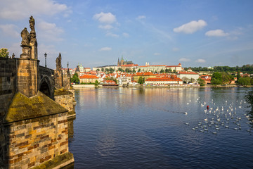 Obraz premium Prague, Czech Republic: Charles bridge.