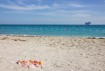 Fototapeta na wymiar United Arab Emirates (UAE), cruise ship and shells on sea beach of Sir Bani Yas island, Abu Dhabi, Persian Gulf