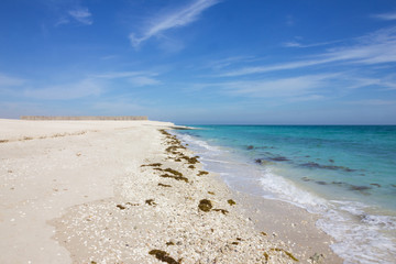Sea beach on Sir Bani Yas island, United Arab Emirates (UAE), Abu Dhabi, Persian Gulf
