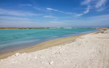 Fototapeta na wymiar United Arab Emirates (UAE), Sir Bani Yas island sea beach, Abu Dhabi, Persian Gulf