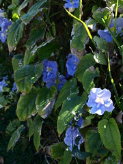 Landschaft Tiere © Timo