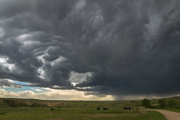 Obraz na płótnie Canvas A severe thunderstorm moves over the high plains of eastern Wyoming, United States of America.