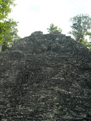 Landschaft Tiere © Timo