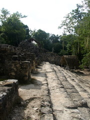 Landschaft Tiere © Timo