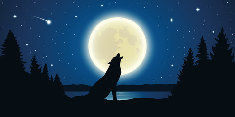 wolf howls to the full moon in a starry night vector illustration EPS10 © krissikunterbunt