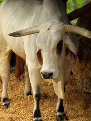 Tiere Blumen Unterwasserwelt  © Timo