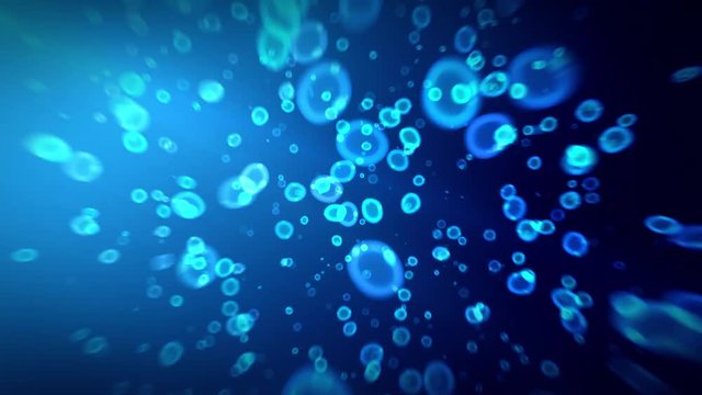 水中を勢いよく駆け抜ける　ループ