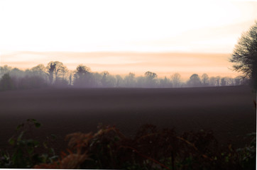 Brouillard du matin