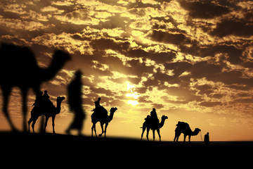 Caravan Walking with camel through Thar Desert in India, Show silhouette and dramatic sky