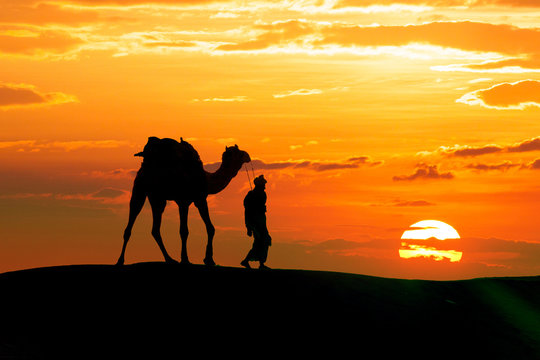 Walking with camel through Thar Desert in India, Show silhouette and dramatic sky