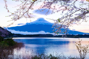 夜明けの富士山、静岡県富士宮市田貫湖にて