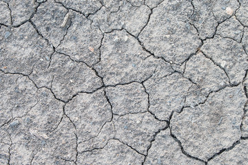 Dried and Cracked ground.