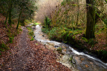 Ruisseau