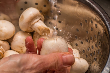 Close up of chef hand washing the muddy residue of organic button mushrooms