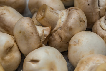 Close up of washed button mushrooms